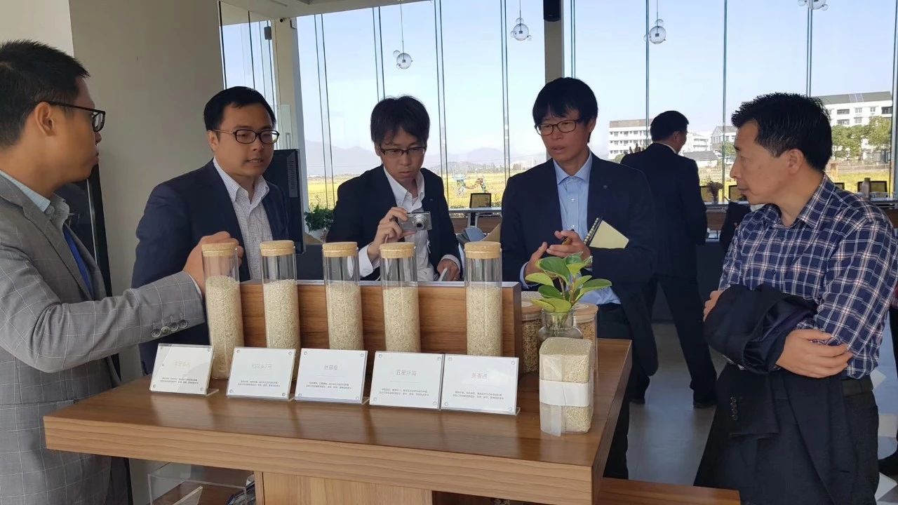 日本靜岡政府組織專家團調(diào)研艾米，稱贊艾米生態(tài)農(nóng)業(yè)達到世界領(lǐng)先水平(圖8)