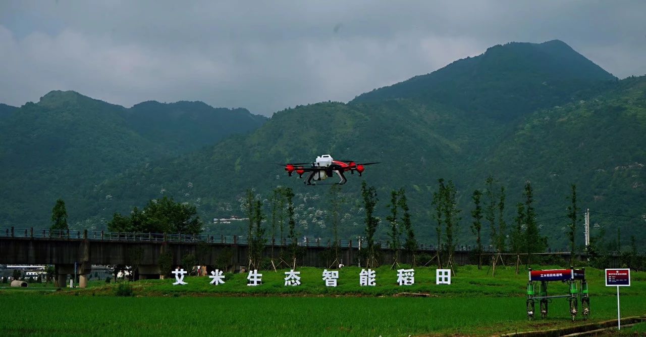 日本靜岡政府組織專家團調(diào)研艾米，稱贊艾米生態(tài)農(nóng)業(yè)達到世界領(lǐng)先水平(圖10)