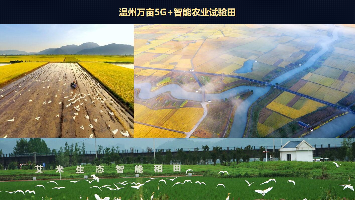 QQ截圖20220407171021.jpg