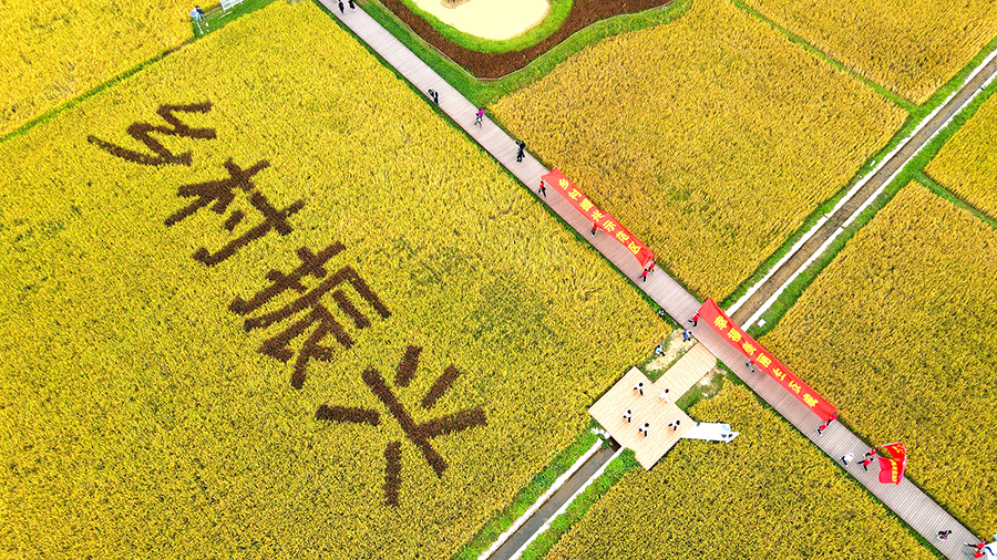 微信圖片_20211201173053.jpg