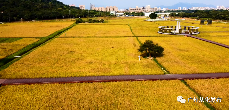 微信圖片_20220422092653.png